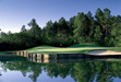 Woodland Golf